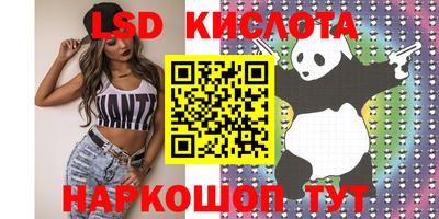амф Можга