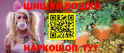 прущие крисы Моздок