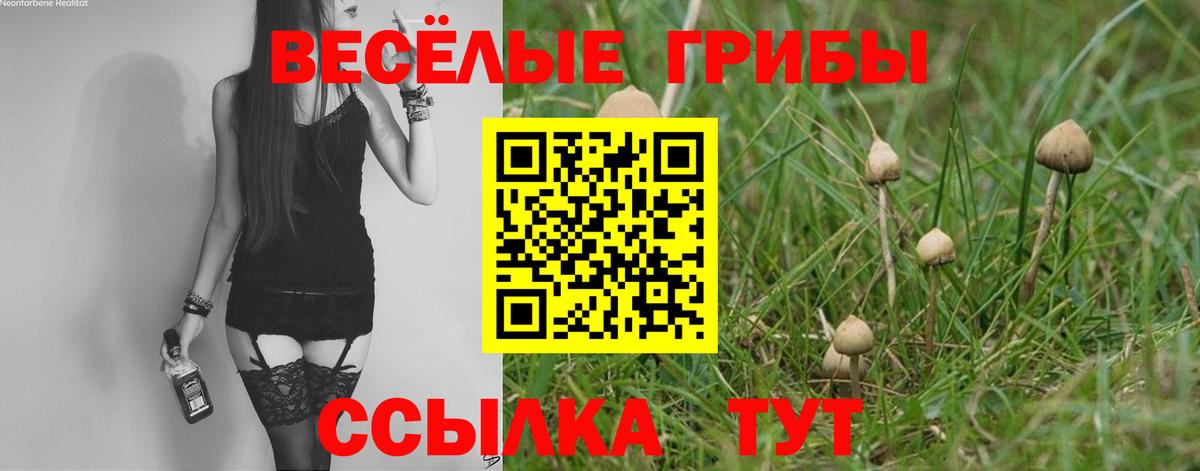 Галлюциногенные грибы MAGIC MUSHROOMS Томск